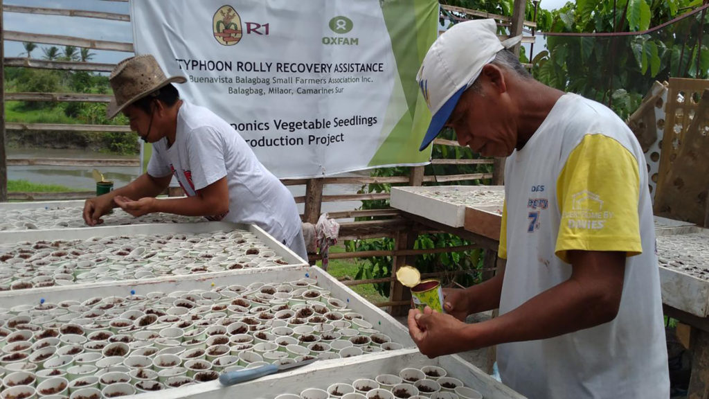 Residents of Typhoon Rolly-hit communities in Camarines Sur work together to care for vegetable seedlings nurseries as part of Rice Watch Action Network, Inc. assistance. (Photo: RWAN)