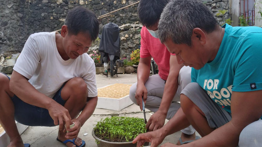 Residents of Typhoon Rolly-hit communities in Camarines Sur work together to care for vegetable seedlings nurseries as part of Rice Watch Action Network, Inc. assistance. (Photo: RWAN)