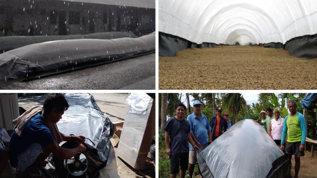 (Clockwise from upper left) (1) A solar bubble dryer set up at the International Rice Research Institute during a storm; (2) the grains protected inside the dryer even during rainfall; (3) Camarines Sur residents receive a solar rice dryer; (4) a farmer sets up a solar dryer. (Photos:Rice Watch Action Network, Inc./RWAN)