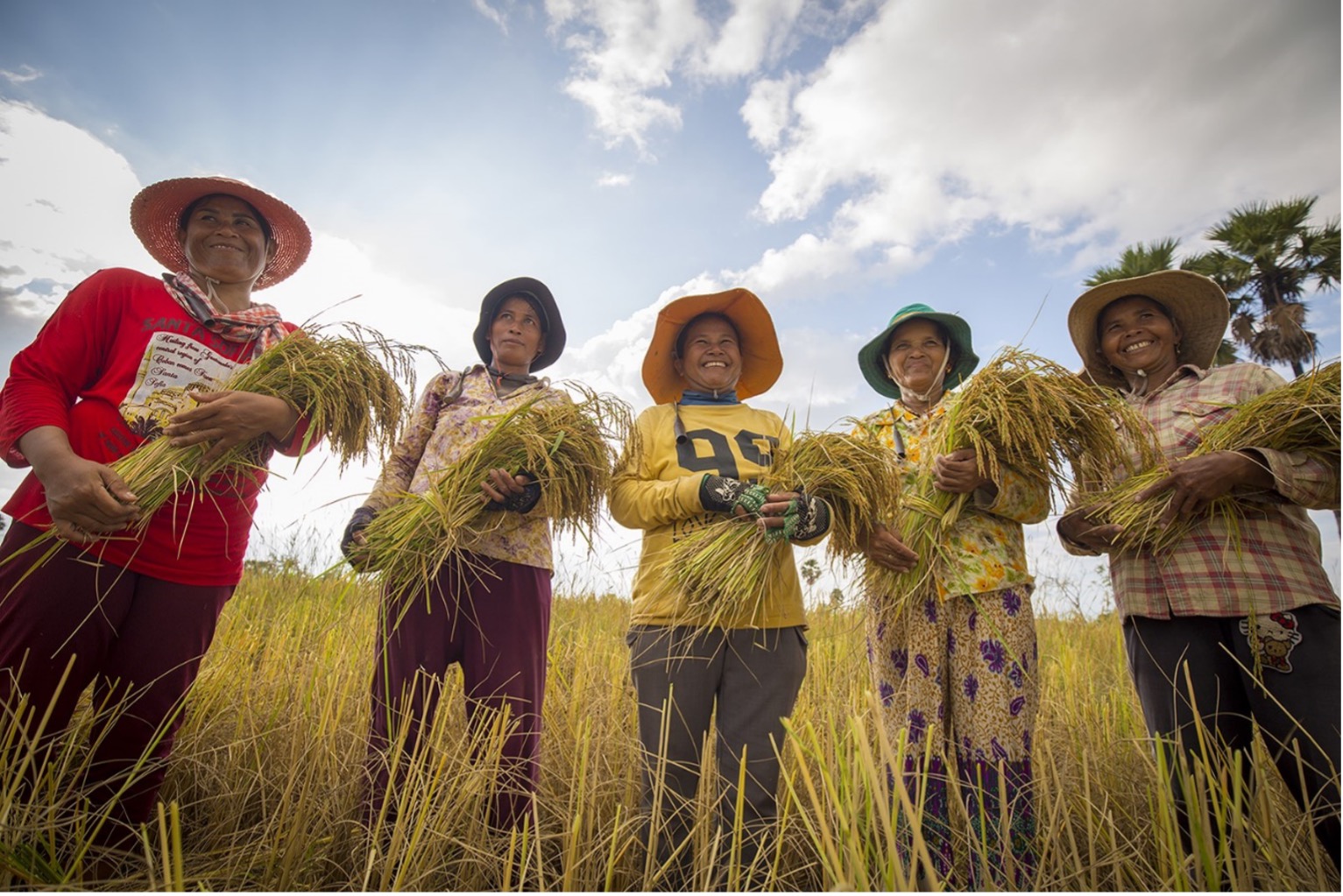 Sustainable Finance is Key to Advancing Gender Equality in ASEAN's ...