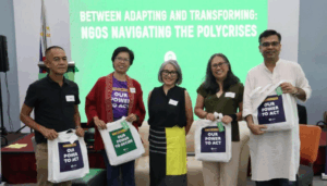 Polycrises Between Adapting and Transforming: NGOs Navigating the Polycrises ...